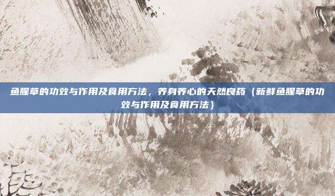 鱼腥草的功效与作用及食用方法,养身养心的天然良药(新鲜鱼腥草的功效与作用及食用方法)