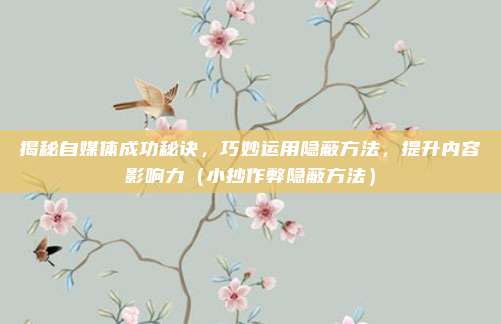 揭秘自媒体成功秘诀，巧妙运用隐蔽方法，提升内容影响力（小抄作弊隐蔽方法）