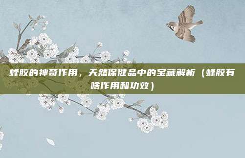 蜂胶的神奇作用，天然保健品中的宝藏解析（蜂胶有啥作用和功效）