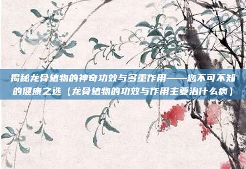 揭秘龙骨植物的神奇功效与多重作用——您不可不知的健康之选(龙骨植物的功效与作用主要治什么病)