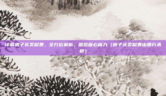 详解房子买卖税费,全方位解析,助您省心省力(房子买卖税费由哪方承担)