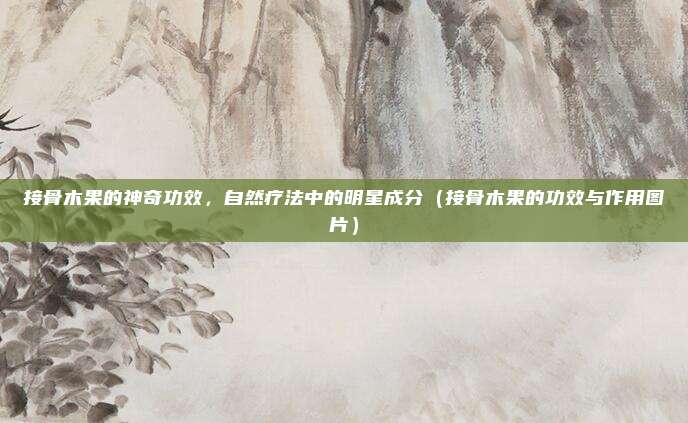 接骨木果的神奇功效，自然疗法中的明星成分（接骨木果的功效与作用图片）