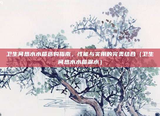卫生间热水水箱选购指南,性能与实用的完美结合(卫生间热水水箱漏水)