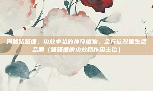 揭秘路路通,功效卓越的神奇植物,全方位改善生活品质(路路通的功效和作用主治)