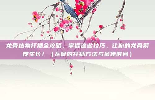 龙骨植物扦插全攻略,掌握这些技巧,让你的龙骨繁茂生长!(龙骨的扦插方法与最佳时间)