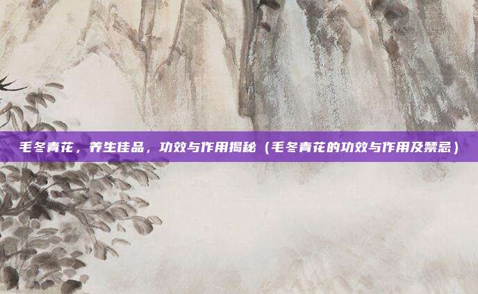 毛冬青花,养生佳品,功效与作用揭秘(毛冬青花的功效与作用及禁忌)