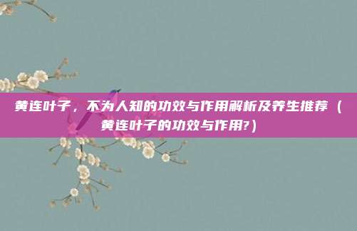 黄连叶子,不为人知的功效与作用解析及养生推荐(黄连叶子的功效与作用?)