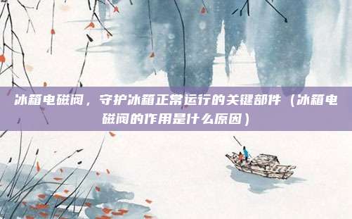 冰箱电磁阀，守护冰箱正常运行的关键部件（冰箱电磁阀的作用是什么原因）