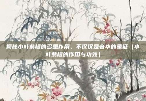 揭秘小叶紫檀的多重作用，不仅仅是奢华的象征（小叶紫檀的作用与功效）