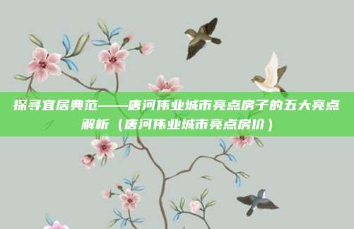 探寻宜居典范——唐河伟业城市亮点房子的五大亮点解析（唐河伟业城市亮点房价）