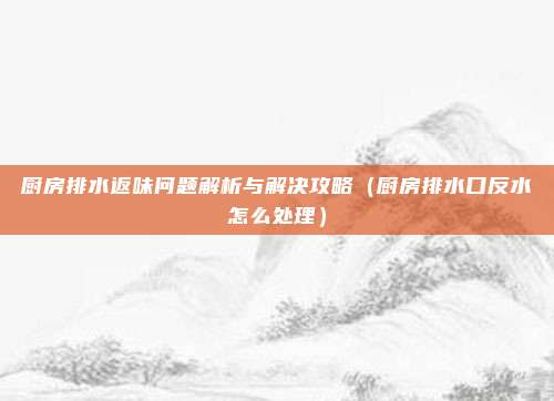 厨房排水返味问题解析与解决攻略(厨房排水口反水怎么处理)
