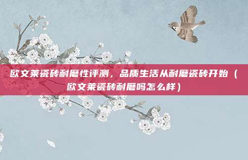 欧文莱瓷砖耐磨性评测，品质生活从耐磨瓷砖开始（欧文莱瓷砖耐磨吗怎么样）