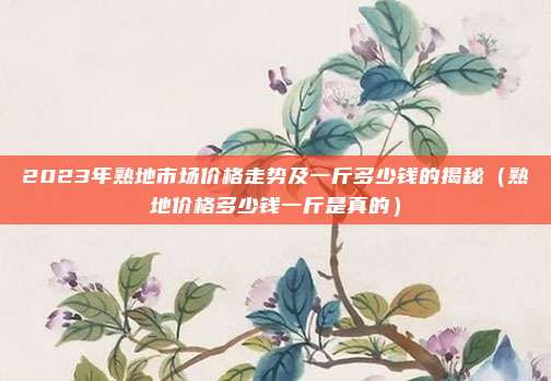 2023年熟地市场价格走势及一斤多少钱的揭秘(熟地价格多少钱一斤是真的)