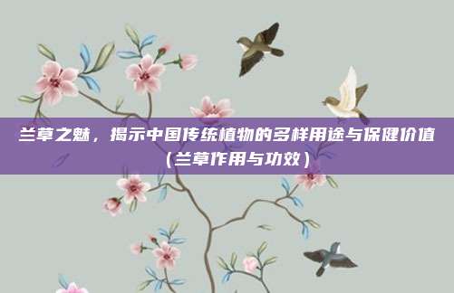 兰草之魅,揭示中国传统植物的多样用途与保健价值(兰草作用与功效)