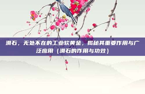 滑石,无处不在的工业软黄金,揭秘其重要作用与广泛应用(滑石的作用与功效)