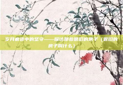 岁月痕迹中的坚守——探访那些很旧的房子（很旧的房子叫什么）