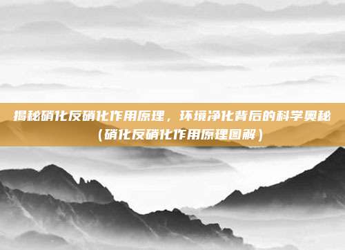 揭秘硝化反硝化作用原理，环境净化背后的科学奥秘（硝化反硝化作用原理图解）