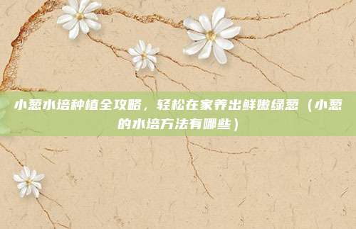 小葱水培种植全攻略,轻松在家养出鲜嫩绿葱(小葱的水培方法有哪些)