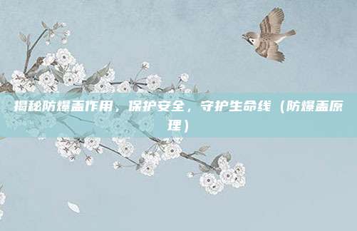 揭秘防爆盖作用,保护安全,守护生命线(防爆盖原理)