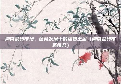 湖南瓷砖市场,蓬勃发展中的建材王国(湖南瓷砖市场排名)