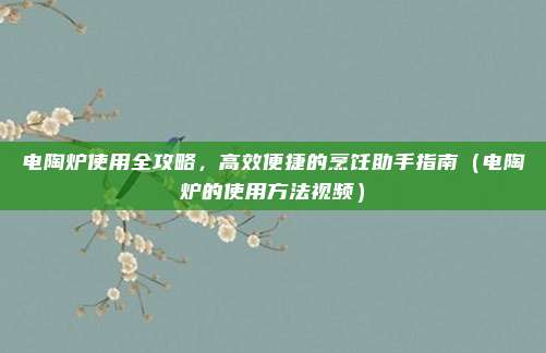 电陶炉使用全攻略,高效便捷的烹饪助手指南(电陶炉的使用方法视频)