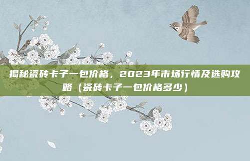 揭秘瓷砖卡子一包价格,2023年市场行情及选购攻略(瓷砖卡子一包价格多少)