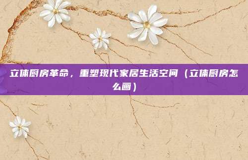 立体厨房革命,重塑现代家居生活空间(立体厨房怎么画)