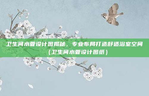 卫生间水管设计图揭秘,专业布局打造舒适浴室空间(卫生间水管设计图纸)