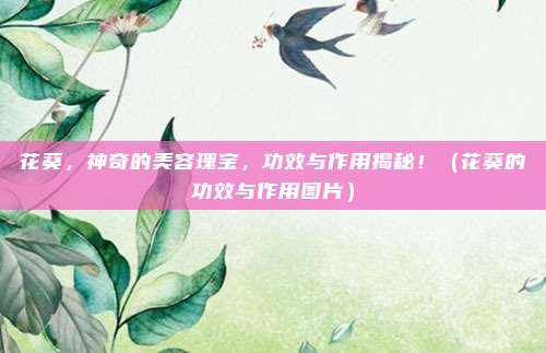 花葵,神奇的美容瑰宝,功效与作用揭秘!(花葵的功效与作用图片)