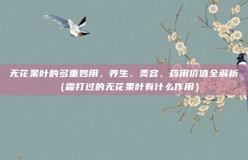 无花果叶的多重妙用，养生、美容、药用价值全解析（霜打过的无花果叶有什么作用）