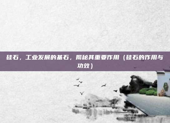 硅石,工业发展的基石,揭秘其重要作用(硅石的作用与功效)