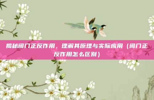 揭秘阀门正反作用,理解其原理与实际应用(阀门正反作用怎么区别)
