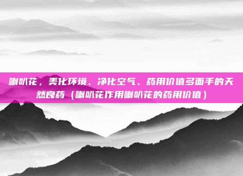 喇叭花,美化环境、净化空气、药用价值多面手的天然良药(喇叭花作用喇叭花的药用价值)