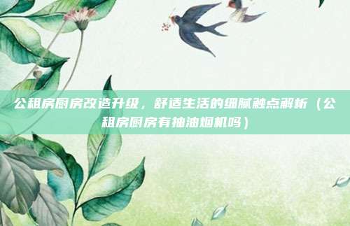 公租房厨房改造升级，舒适生活的细腻触点解析（公租房厨房有抽油烟机吗）