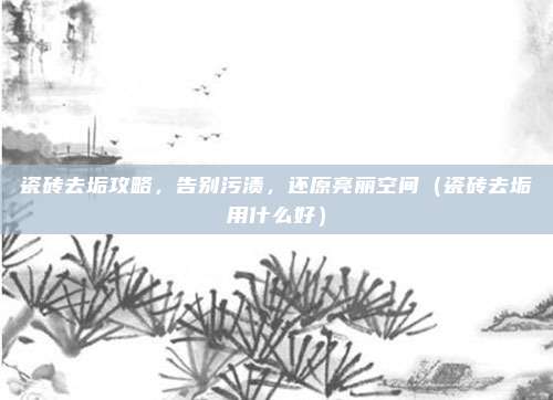 瓷砖去垢攻略，告别污渍，还原亮丽空间（瓷砖去垢用什么好）