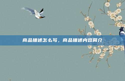 商品描述怎么写,商品描述内容简介