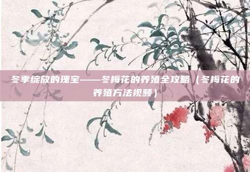 冬季绽放的瑰宝——冬梅花的养殖全攻略(冬梅花的养殖方法视频)