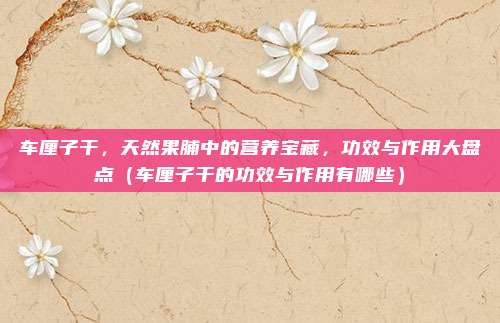车厘子干,天然果脯中的营养宝藏,功效与作用大盘点(车厘子干的功效与作用有哪些)