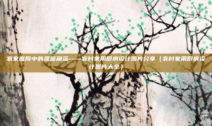 农家庭院中的温馨角落——农村家用厨房设计图片分享(农村家用厨房设计图片大全)