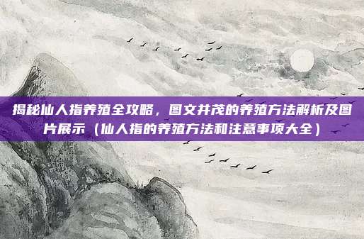 揭秘仙人指养殖全攻略,图文并茂的养殖方法解析及图片展示(仙人指的养殖方法和注意事项大全)