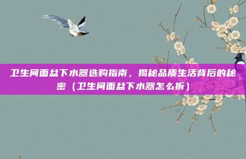 卫生间面盆下水器选购指南,揭秘品质生活背后的秘密(卫生间面盆下水器怎么拆)