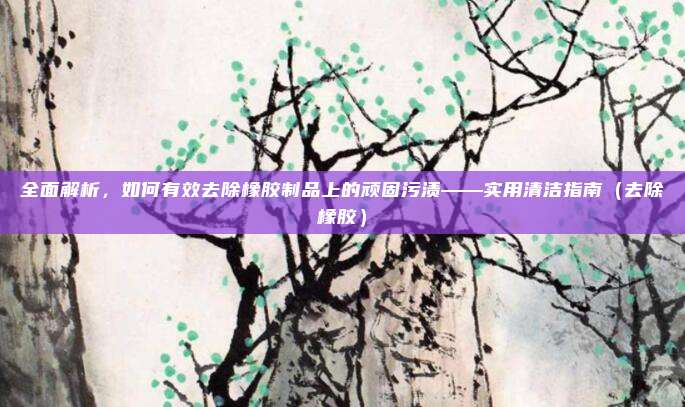 全面解析,如何有效去除橡胶制品上的顽固污渍——实用清洁指南(去除橡胶)