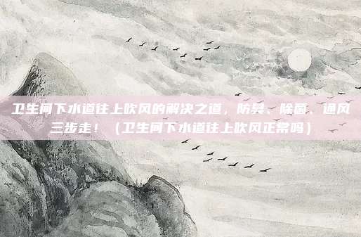 卫生间下水道往上吹风的解决之道,防臭、除菌、通风三步走!(卫生间下水道往上吹风正常吗)