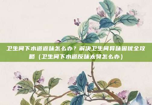 卫生间下水道返味怎么办?解决卫生间异味困扰全攻略(卫生间下水道反味太臭怎么办)