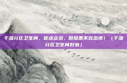 干湿分区卫生间,优点众多,但隐患不容忽视!(干湿分区卫生间好处)