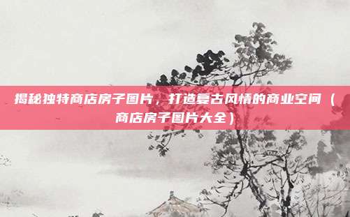 揭秘独特商店房子图片，打造复古风情的商业空间（商店房子图片大全）