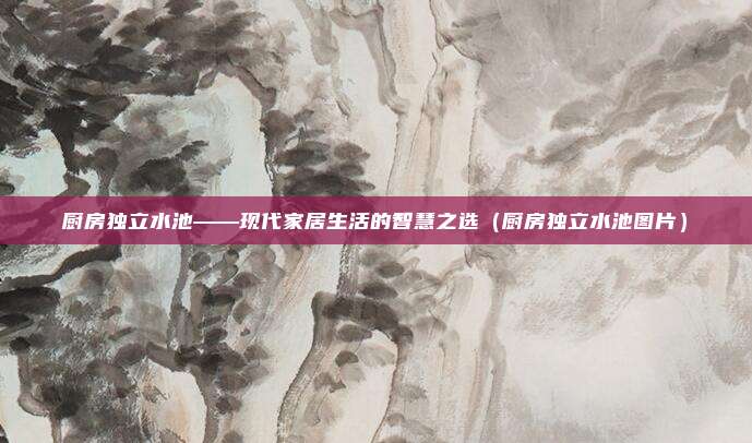 厨房独立水池——现代家居生活的智慧之选（厨房独立水池图片）