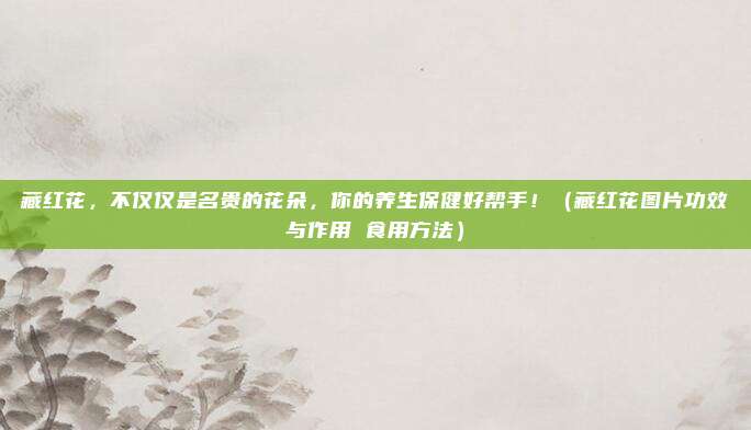 藏红花,不仅仅是名贵的花朵,你的养生保健好帮手!(藏红花图片功效与作用 食用方法)