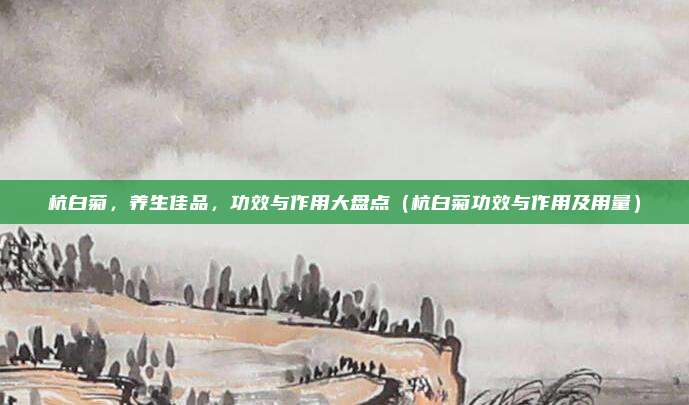 杭白菊，养生佳品，功效与作用大盘点（杭白菊功效与作用及用量）