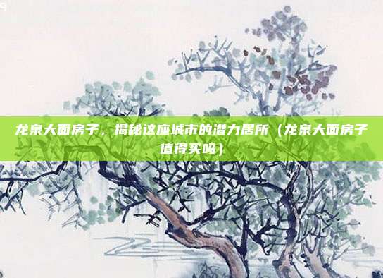 龙泉大面房子,揭秘这座城市的潜力居所(龙泉大面房子值得买吗)